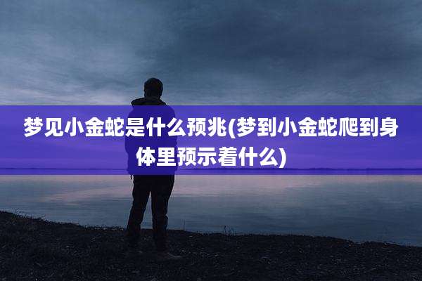 梦见小金蛇是什么预兆(梦到小金蛇爬到身体里预示着什么)