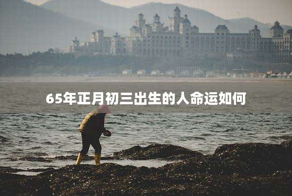 65年正月初三出生的人命运如何
