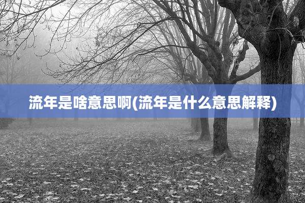 流年是啥意思啊(流年是什么意思解释)