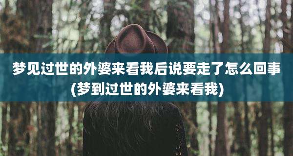梦见过世的外婆来看我后说要走了怎么回事(梦到过世的外婆来看我)