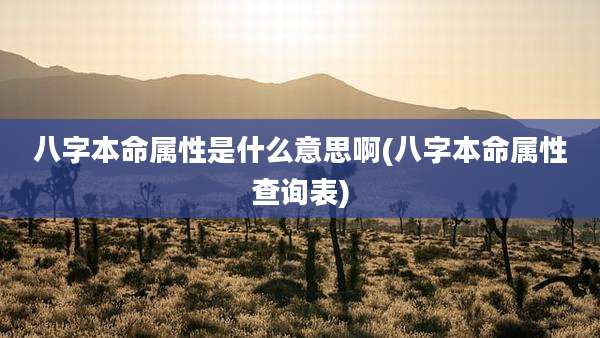 八字本命属性是什么意思啊(八字本命属性查询表)