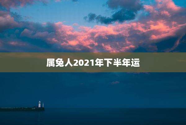属兔人2021年下半年运