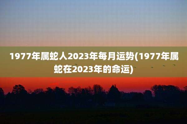 1977年属蛇人2023年每月运势(1977年属蛇在2023年的命运)