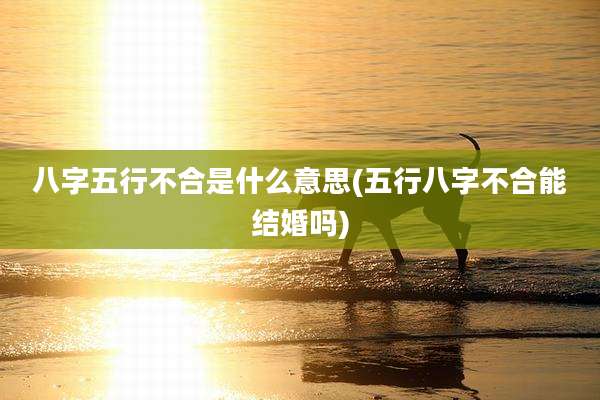 八字五行不合是什么意思(五行八字不合能结婚吗)