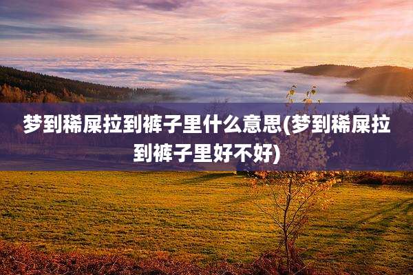 梦到稀屎拉到裤子里什么意思(梦到稀屎拉到裤子里好不好)