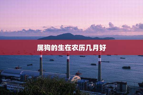 属狗的生在农历几月好