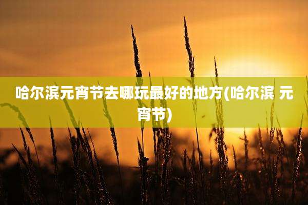 哈尔滨元宵节去哪玩最好的地方(哈尔滨 元宵节)