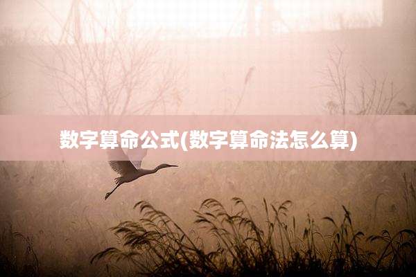 数字算命公式(数字算命法怎么算)