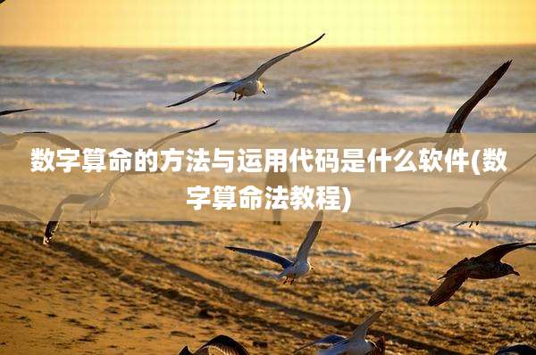 数字算命的方法与运用代码是什么软件(数字算命法教程)