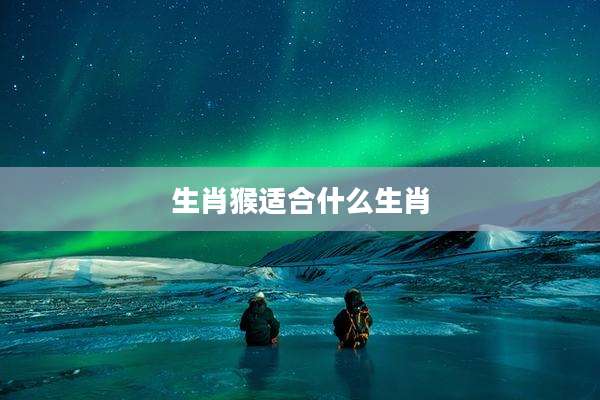 生肖猴适合什么生肖