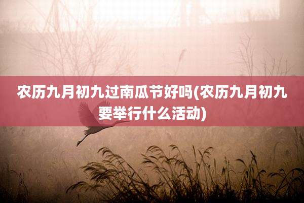 农历九月初九过南瓜节好吗(农历九月初九要举行什么活动)