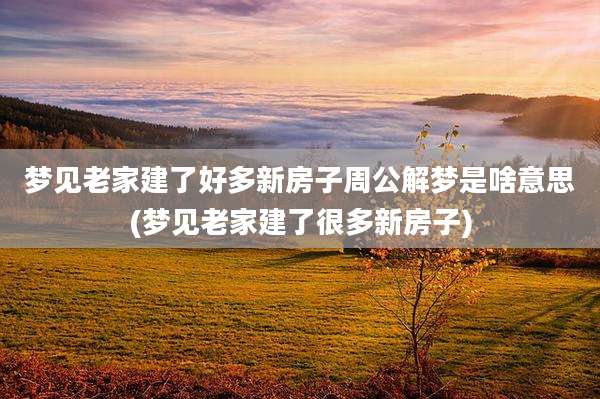梦见老家建了好多新房子周公解梦是啥意思(梦见老家建了很多新房子)