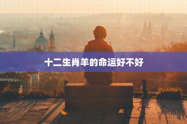 十二生肖羊的命运好不好