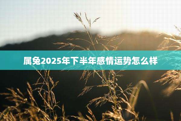 属兔2025年下半年感情运势怎么样