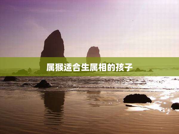 属猴适合生属相的孩子