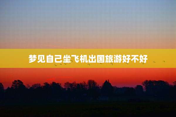 梦见自己坐飞机出国旅游好不好