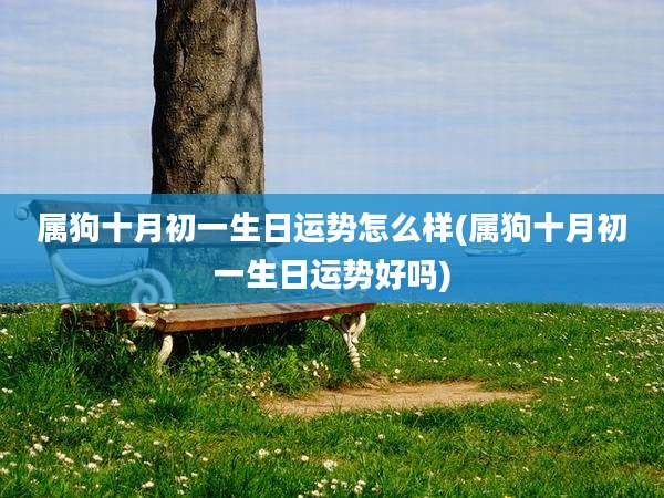 属狗十月初一生日运势怎么样(属狗十月初一生日运势好吗)