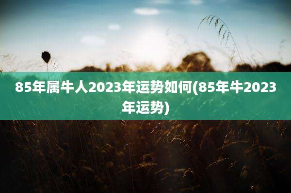 85年属牛人2023年运势如何(85年牛2023年运势)