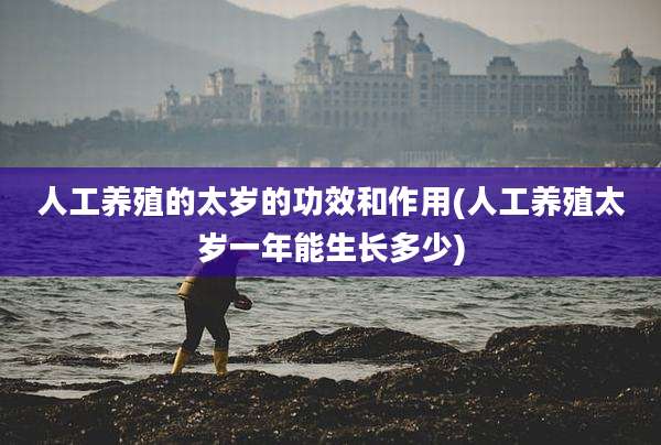 人工养殖的太岁的功效和作用(人工养殖太岁一年能生长多少)