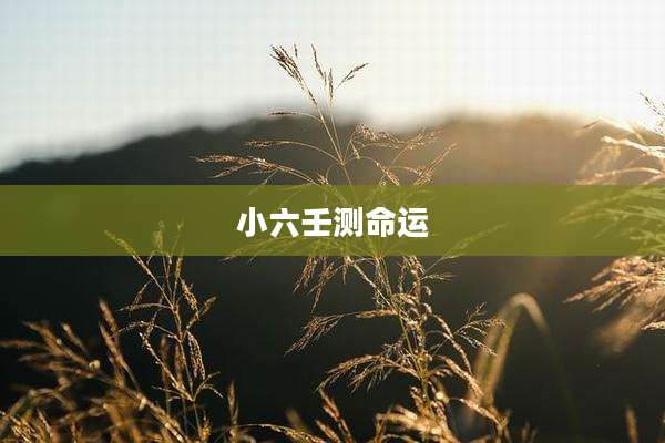 小六壬测命运