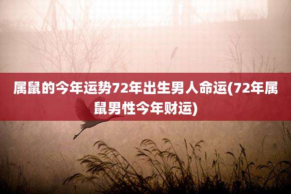 属鼠的今年运势72年出生男人命运(72年属鼠男性今年财运)