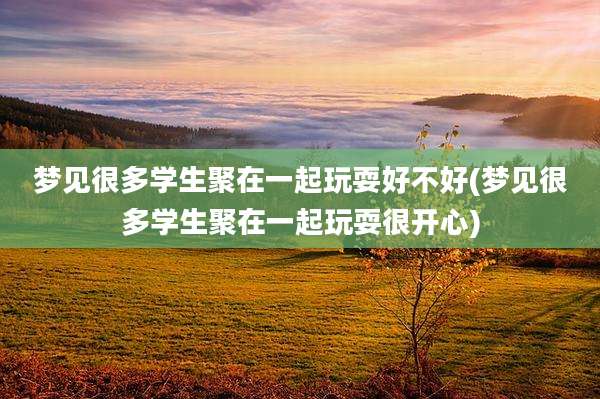 梦见很多学生聚在一起玩耍好不好(梦见很多学生聚在一起玩耍很开心)