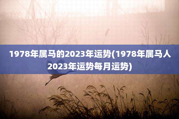 1978年属马的2023年运势(1978年属马人2023年运势每月运势)