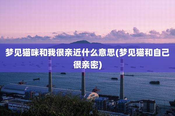 梦见猫咪和我很亲近什么意思(梦见猫和自己很亲密)