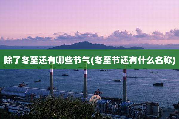 除了冬至还有哪些节气(冬至节还有什么名称)