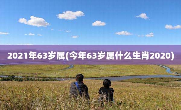 2021年63岁属(今年63岁属什么生肖2020)
