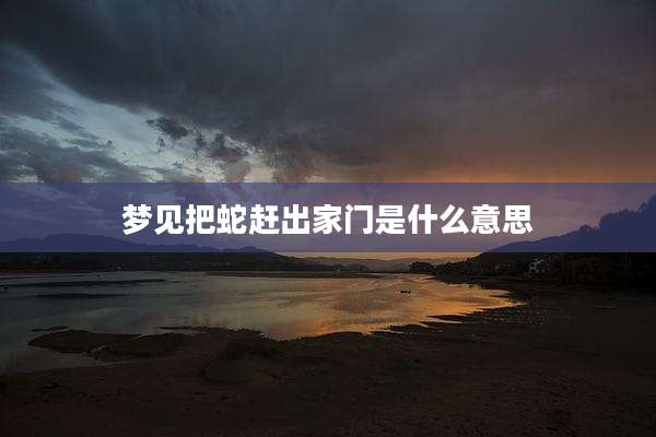 梦见把蛇赶出家门是什么意思