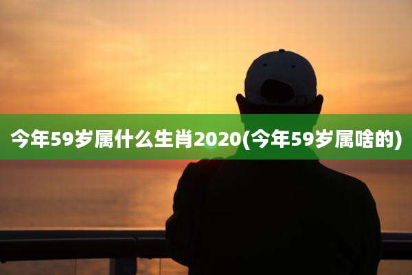 今年59岁属什么生肖2020(今年59岁属啥的)