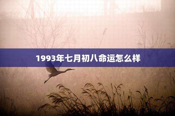 1993年七月初八命运怎么样