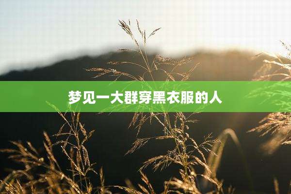 梦见一大群穿黑衣服的人