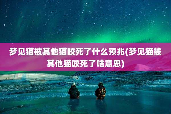 梦见猫被其他猫咬死了什么预兆(梦见猫被其他猫咬死了啥意思)