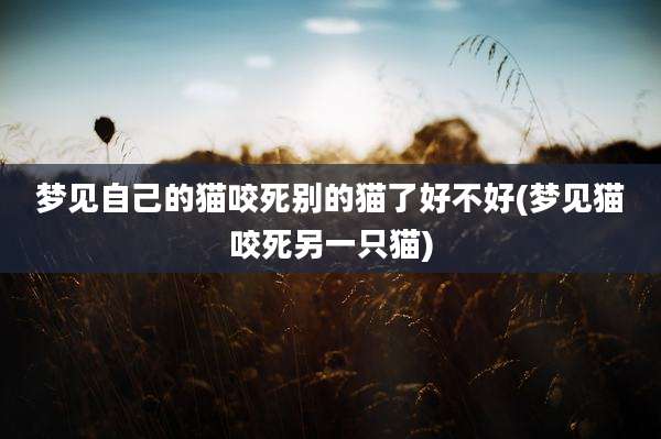 梦见自己的猫咬死别的猫了好不好(梦见猫咬死另一只猫)