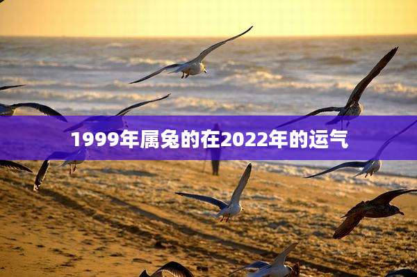 1999年属兔的在2022年的运气