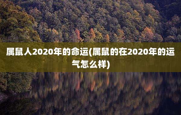 属鼠人2020年的命运(属鼠的在2020年的运气怎么样)