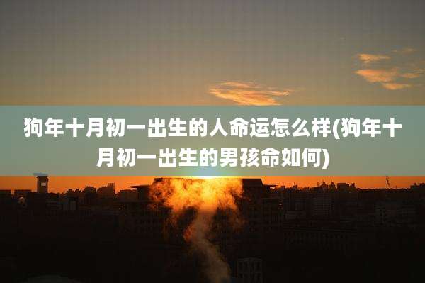 狗年十月初一出生的人命运怎么样(狗年十月初一出生的男孩命如何)