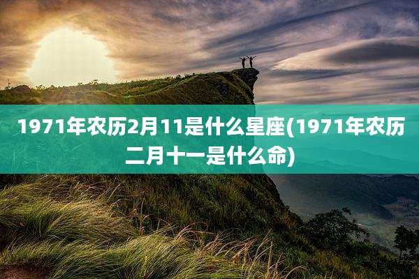 1971年农历2月11是什么星座(1971年农历二月十一是什么命)