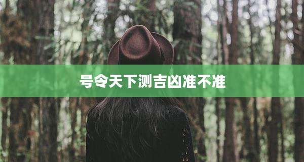 号令天下测吉凶准不准