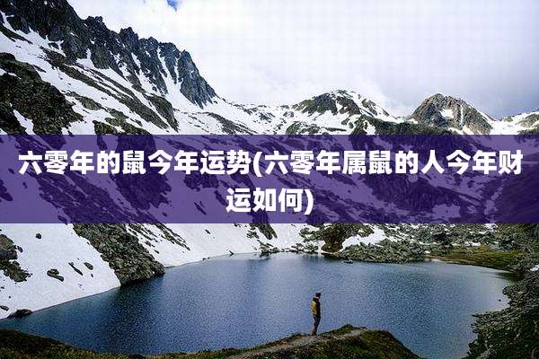 六零年的鼠今年运势(六零年属鼠的人今年财运如何)
