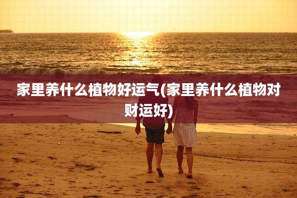 家里养什么植物好运气(家里养什么植物对财运好)