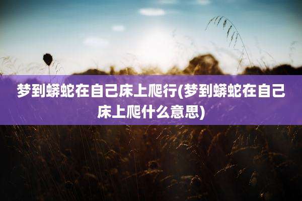 梦到蟒蛇在自己床上爬行(梦到蟒蛇在自己床上爬什么意思)