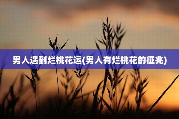 男人遇到烂桃花运(男人有烂桃花的征兆)