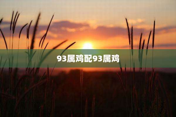 93属鸡配93属鸡