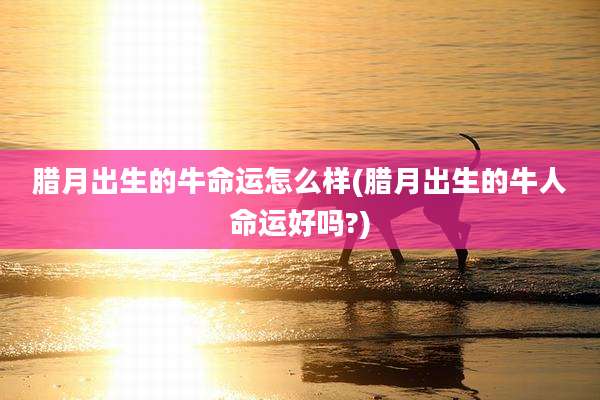 腊月出生的牛命运怎么样(腊月出生的牛人命运好吗?)