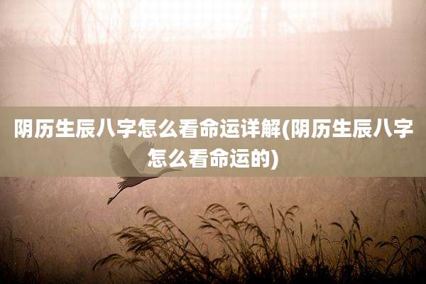 阴历生辰八字怎么看命运详解(阴历生辰八字怎么看命运的)