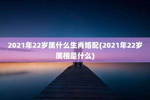 2021年22岁属什么生肖婚配(2021年22岁属相是什么)