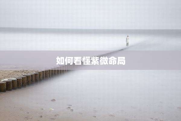 如何看懂紫微命局